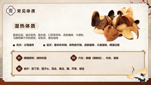 棕色中国风中医健康国风国潮中医健康宣教PPT