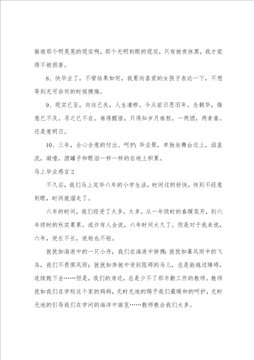 即将毕业感言