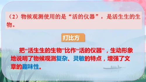 5《大自然的语言》课件