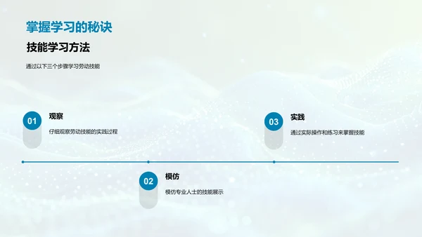 劳动技能的学习和应用