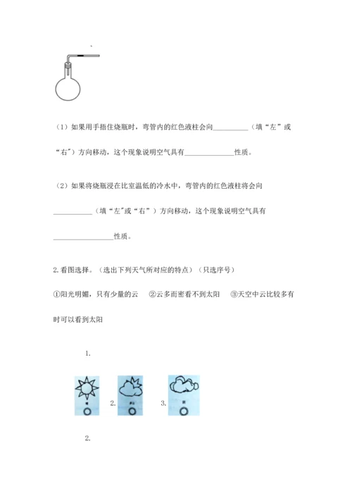 教科版三年级上册科学《期末测试卷》精品【达标题】.docx