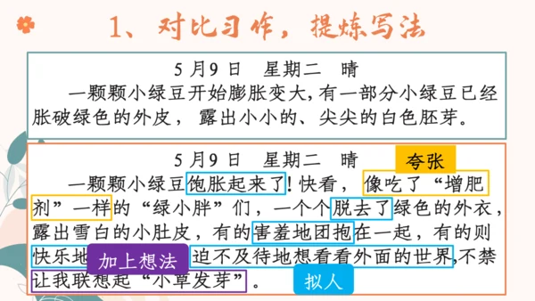 【四上课件】习作三：写观察日记