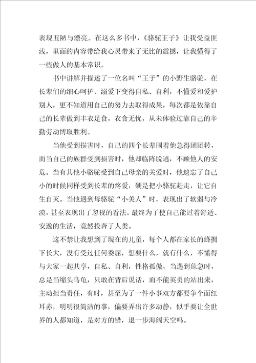 骆驼王子读后心得体会10篇