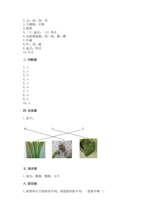 教科版小学一年级上册科学期末测试卷【重点】.docx