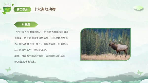 绿色清新剪纸风保护濒危动物拯救美好生命主题PPT世界动物日