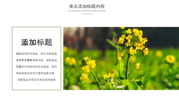 春天乡村旅游油菜花风景油菜花田PPT模板