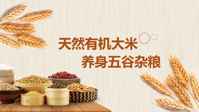 农业五谷杂粮农产品介绍食品健康营养讲座PPT