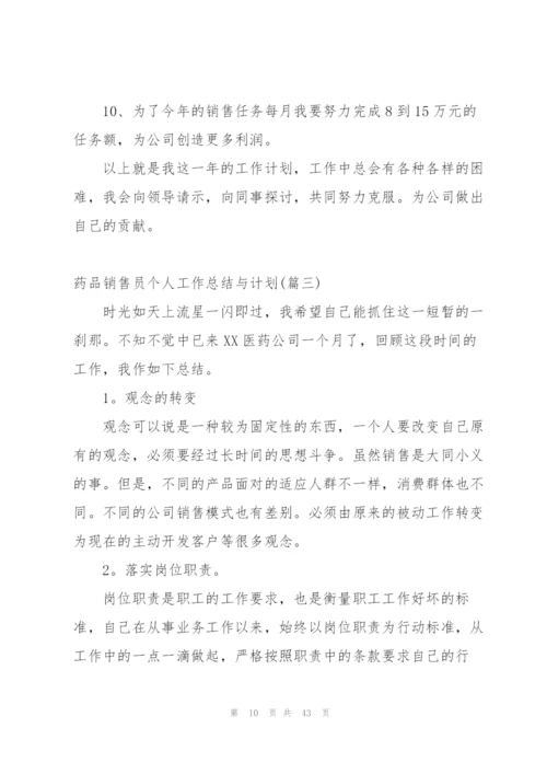 药品销售员个人工作总结与计划.docx