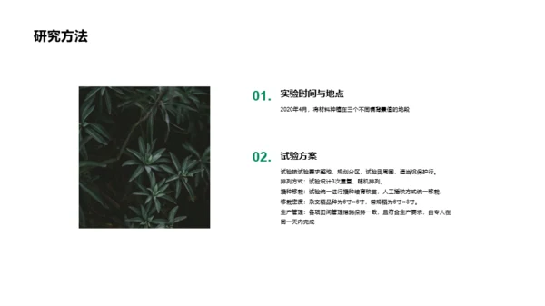 植物品种研究与发现