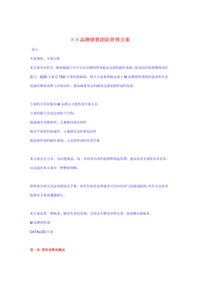 品牌销售团队管理专题方案分析.docx