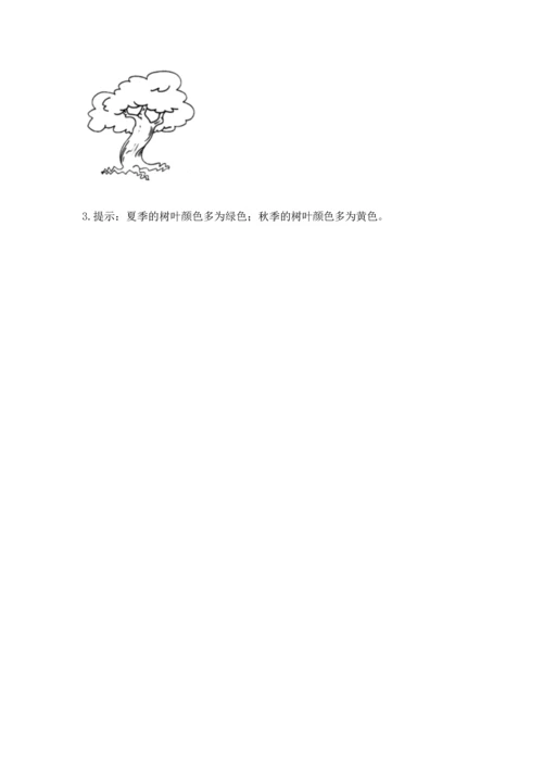 教科版科学一年级上册第一单元《植物》测试卷1套.docx