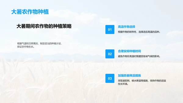 大暑农业生产