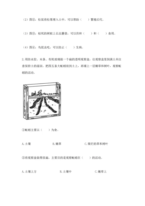 教科版二年级上册科学期末测试卷加解析答案.docx