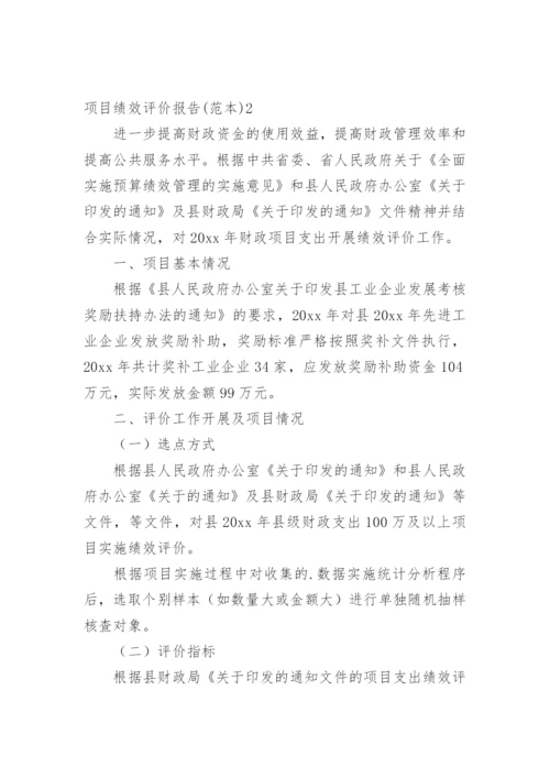 项目绩效评价报告.docx