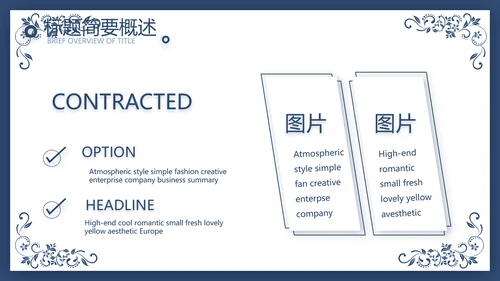 欧式花纹项目创业融资计划书商业计划书PPT