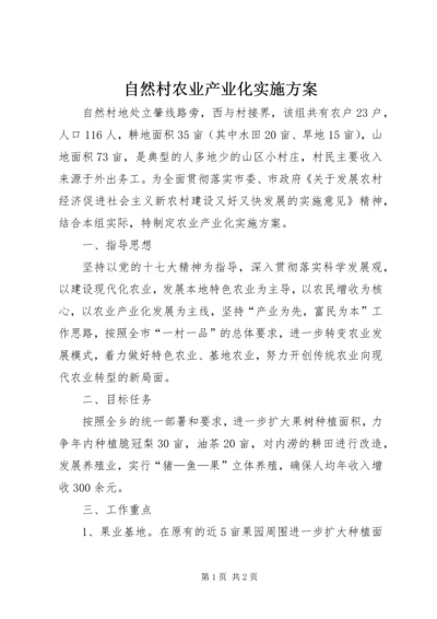 自然村农业产业化实施方案.docx