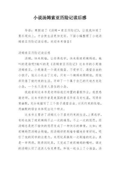 小说汤姆索亚历险记读后感.docx