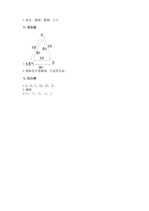 教科版科学一年级上册第一单元《植物》测试卷附参考答案（完整版）.docx