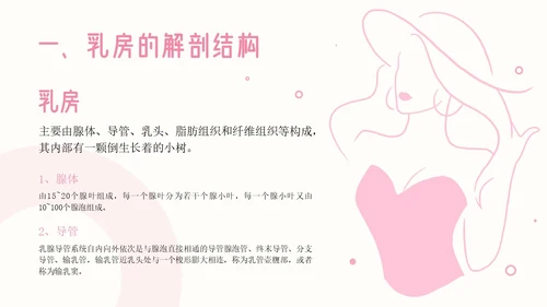粉色插画简约商务乳房护理乳腺护理培训PPT模板