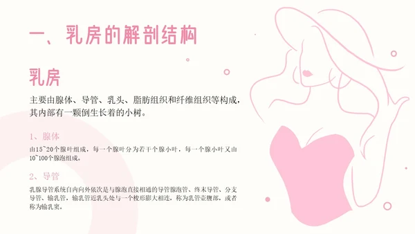 粉色插画简约商务乳房护理乳腺护理培训PPT模板