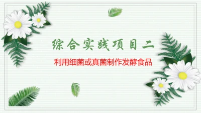 综合实践项目二  利用细菌或真菌制作发酵食品（课件）-【新教材】七年级生物上学期同步课件 （2024