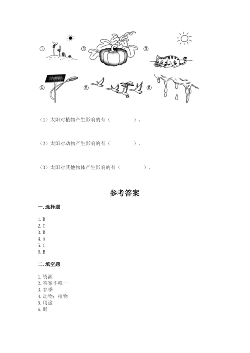 教科版小学二年级上册科学期末测试卷附完整答案【典优】.docx