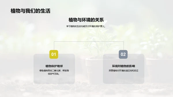 植物的秘密世界