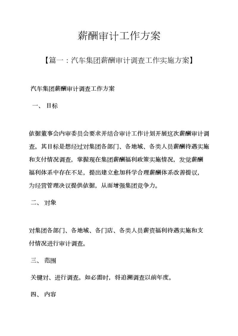 活动专项方案之薪酬审计工作专项方案.docx