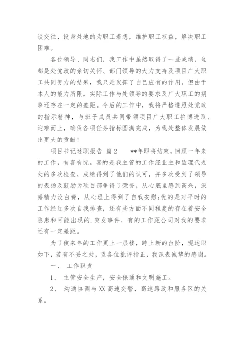 项目书记述职报告.docx