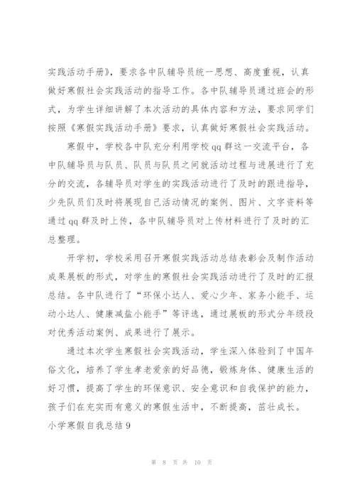 小学寒假自我总结.docx