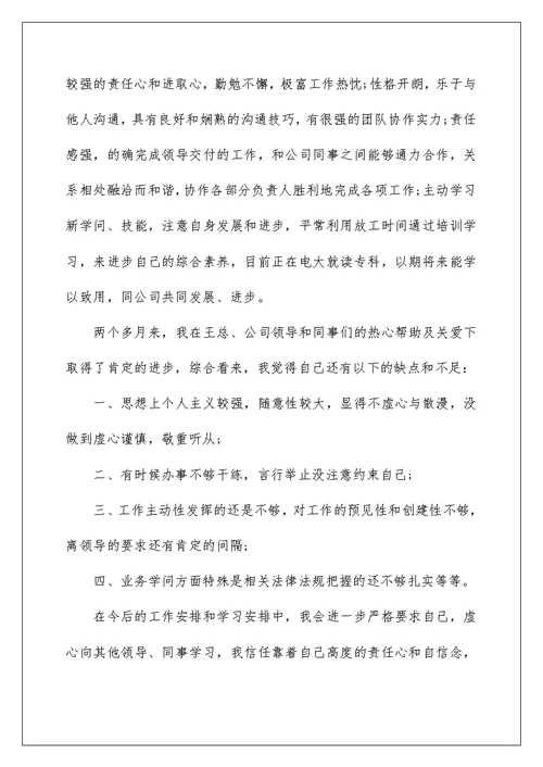 转正人员申请表个人工作总结