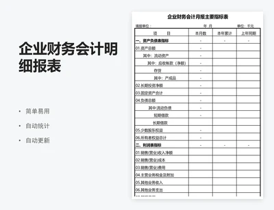 企业财务会计明细报表
