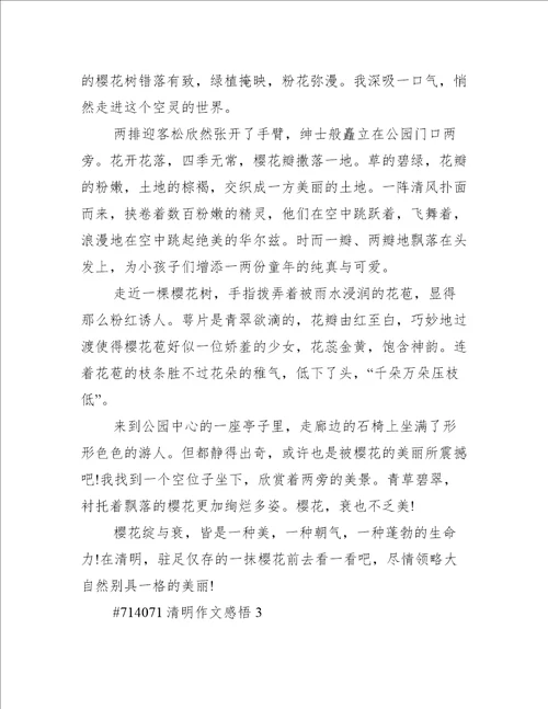 清明作文感悟