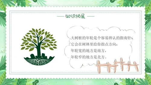 要是你在野外迷了路小清新二年级语文下册PPT小学语文二年级小学语文二年级下册课件