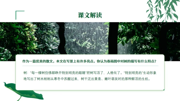 初中语文《雨的四季》公开课教学课件通用PPT模板