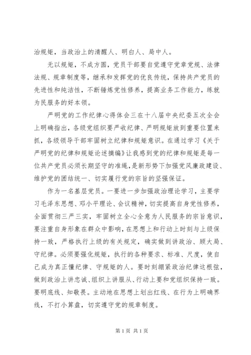 严明党的工作纪律心得体会.docx