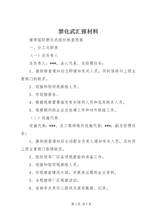 禁化武汇报材料 (2).docx