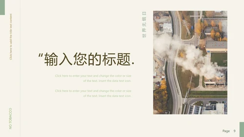 高级极简风世界无烟日主题PPT模板