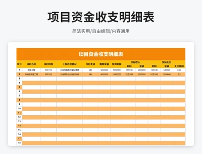 简约风项目资金收支明细表