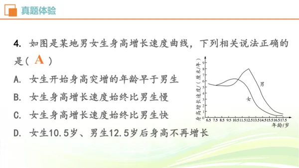 人教七下 生物圈中的人 生物期中复习考点梳理+真题体验（考点全覆盖）(共88张PPT)