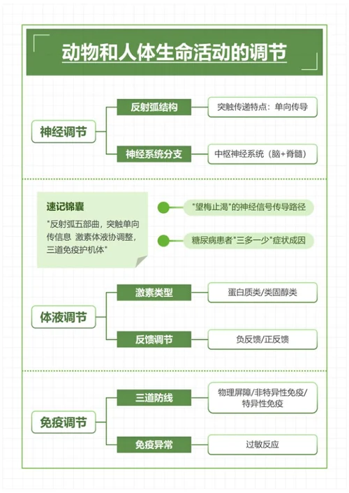 学习笔记-高中生物绿色简约word模板