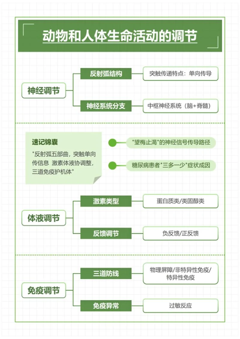 学习笔记-高中生物绿色简约word模板