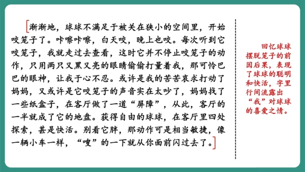 七年级语文上册第五单元 任务三 记述与动物的相处 课件-【课堂无忧】新课标同步核心素养课堂