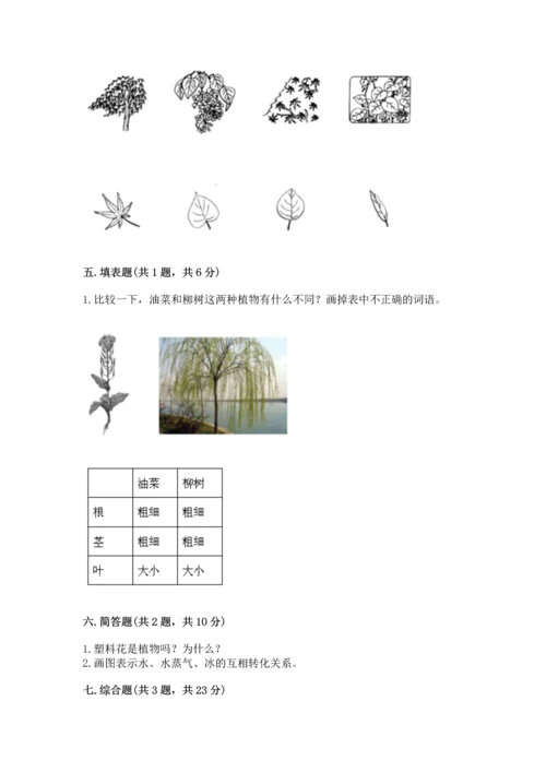 教科版科学一年级上册第一单元《植物》测试卷及完整答案（考点梳理）.docx