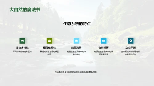 生态系统：我们的生命之源