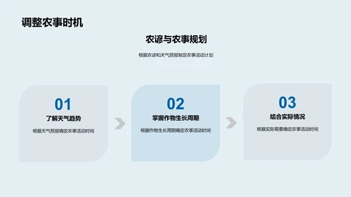 夏至农谚与气候知识PPT模板