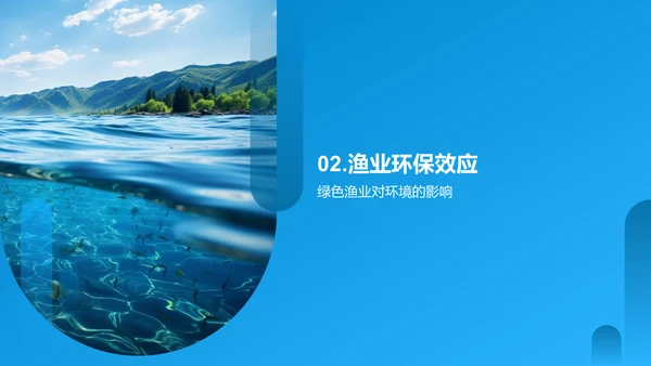 绿色渔业的未来之路