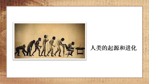 初中历史《人类起源》教学通用PPT课件