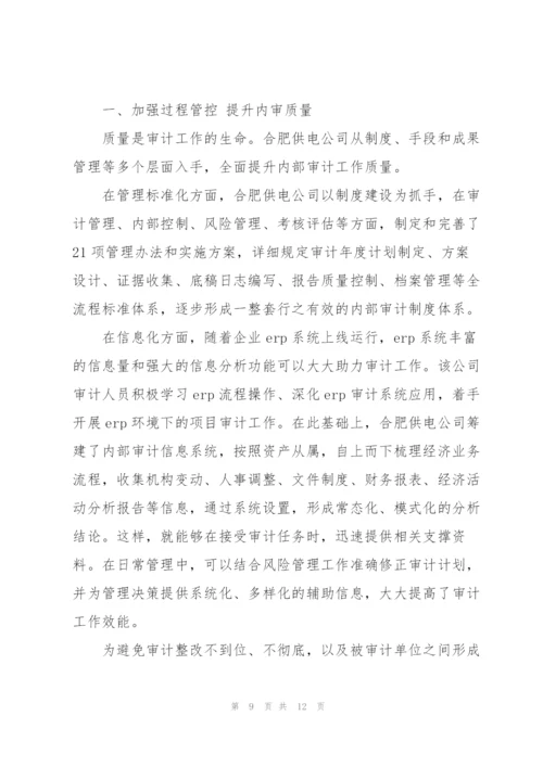 新成立公司内部审计工作总结.docx