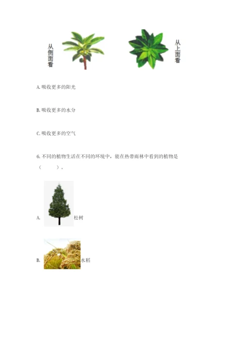 教科版科学四年级下册第一单元《植物的生长变化》测试卷精品【名师推荐】.docx